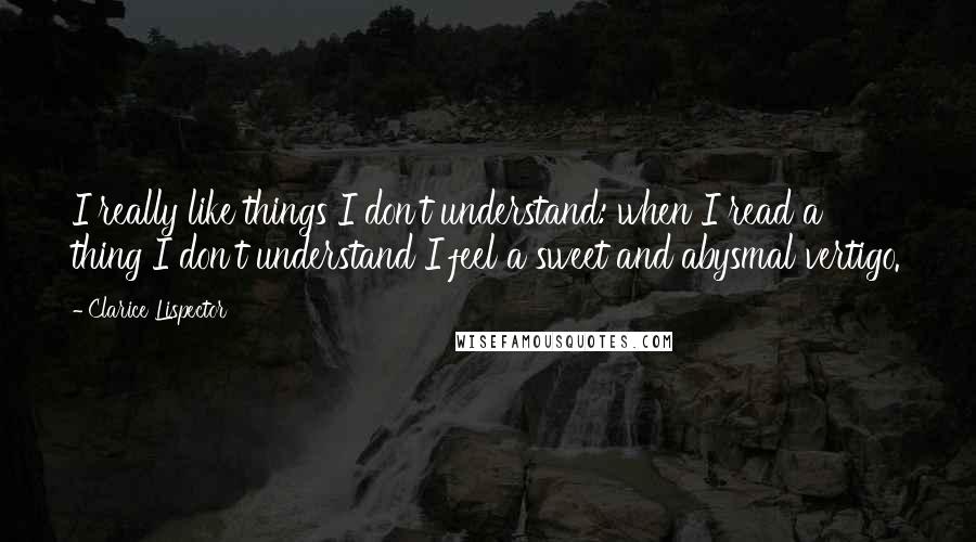 Clarice Lispector Quotes: I really like things I don't understand: when I read a thing I don't understand I feel a sweet and abysmal vertigo.