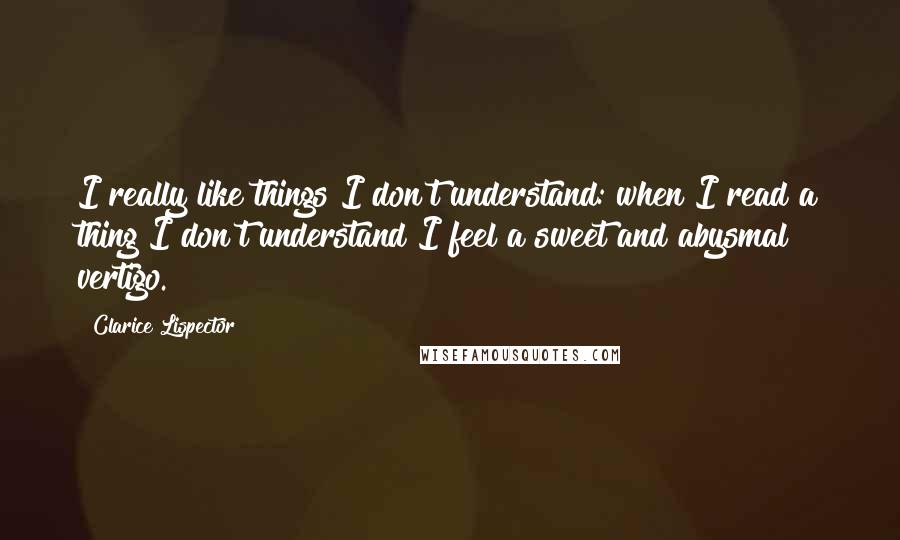 Clarice Lispector Quotes: I really like things I don't understand: when I read a thing I don't understand I feel a sweet and abysmal vertigo.