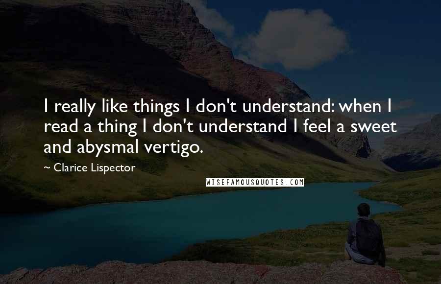 Clarice Lispector Quotes: I really like things I don't understand: when I read a thing I don't understand I feel a sweet and abysmal vertigo.
