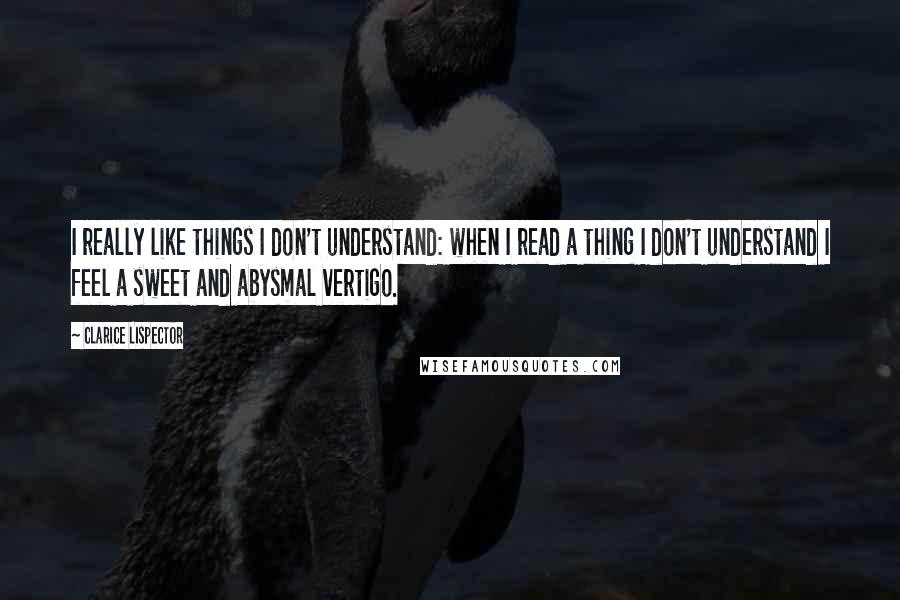 Clarice Lispector Quotes: I really like things I don't understand: when I read a thing I don't understand I feel a sweet and abysmal vertigo.