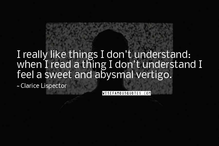 Clarice Lispector Quotes: I really like things I don't understand: when I read a thing I don't understand I feel a sweet and abysmal vertigo.