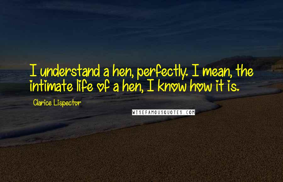 Clarice Lispector Quotes: I understand a hen, perfectly. I mean, the intimate life of a hen, I know how it is.