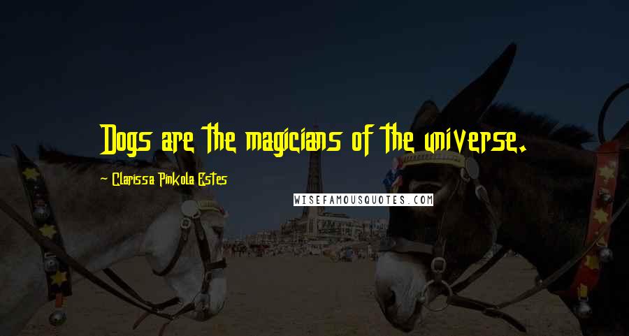 Clarissa Pinkola Estes Quotes: Dogs are the magicians of the universe.