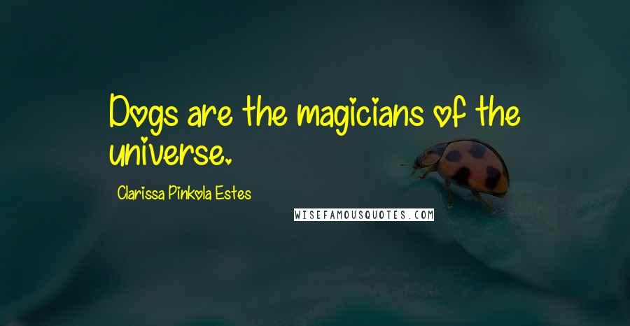 Clarissa Pinkola Estes Quotes: Dogs are the magicians of the universe.