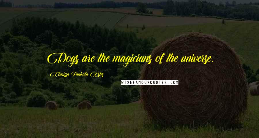 Clarissa Pinkola Estes Quotes: Dogs are the magicians of the universe.