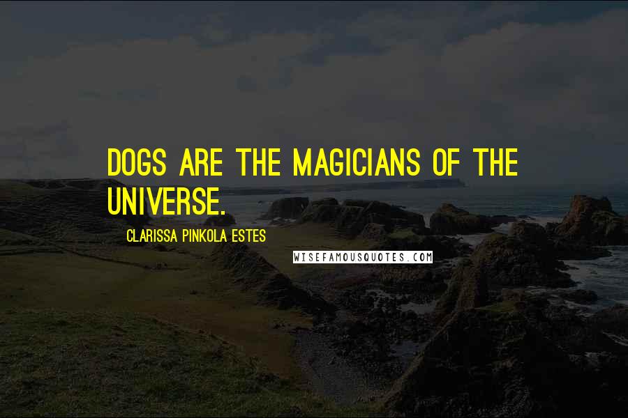 Clarissa Pinkola Estes Quotes: Dogs are the magicians of the universe.