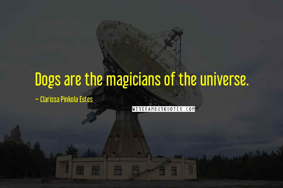 Clarissa Pinkola Estes Quotes: Dogs are the magicians of the universe.