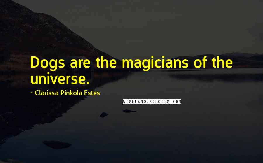 Clarissa Pinkola Estes Quotes: Dogs are the magicians of the universe.