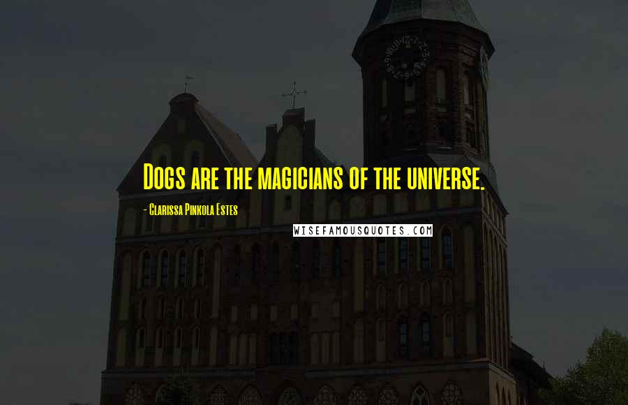 Clarissa Pinkola Estes Quotes: Dogs are the magicians of the universe.