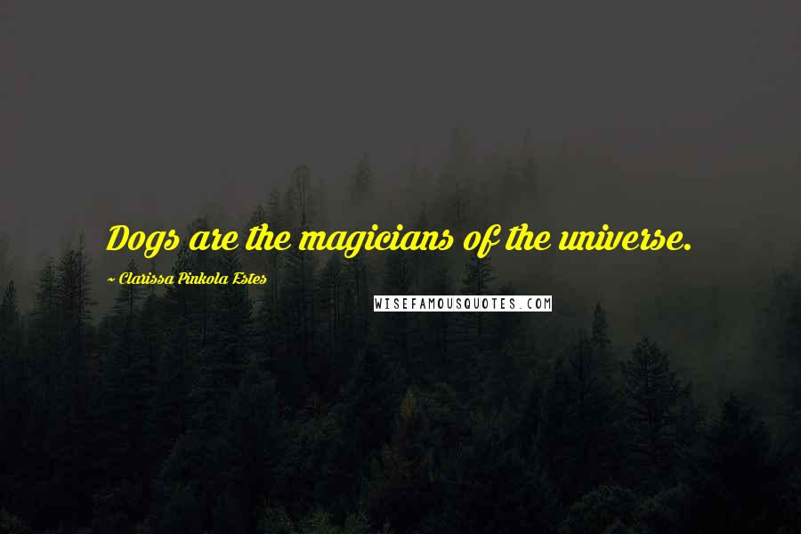 Clarissa Pinkola Estes Quotes: Dogs are the magicians of the universe.