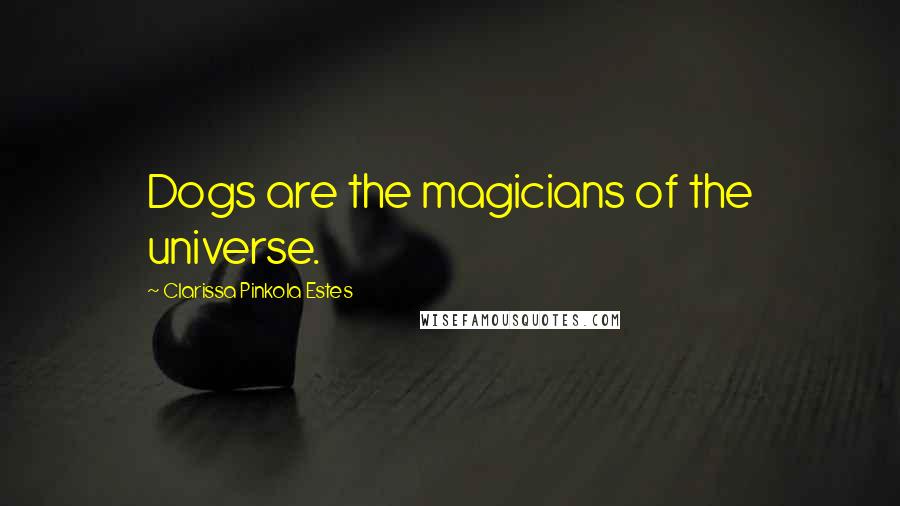 Clarissa Pinkola Estes Quotes: Dogs are the magicians of the universe.