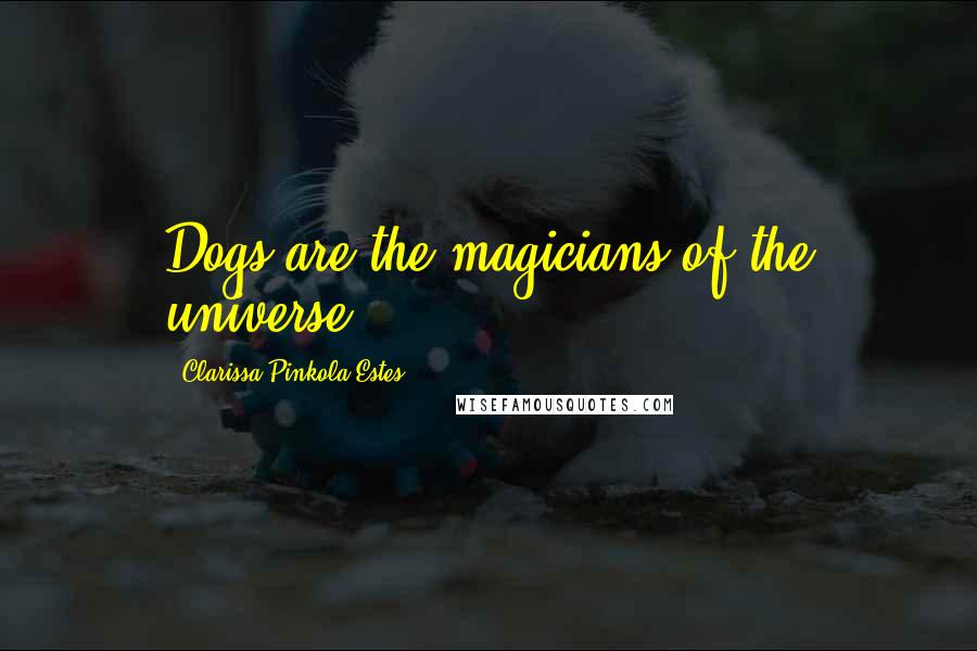 Clarissa Pinkola Estes Quotes: Dogs are the magicians of the universe.