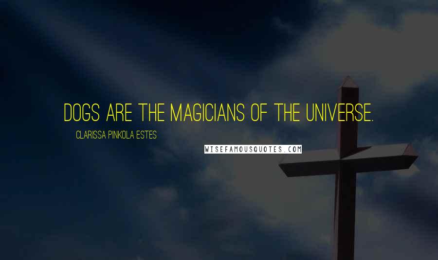 Clarissa Pinkola Estes Quotes: Dogs are the magicians of the universe.