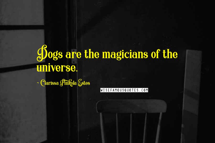 Clarissa Pinkola Estes Quotes: Dogs are the magicians of the universe.