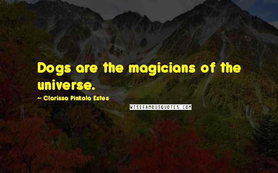 Clarissa Pinkola Estes Quotes: Dogs are the magicians of the universe.