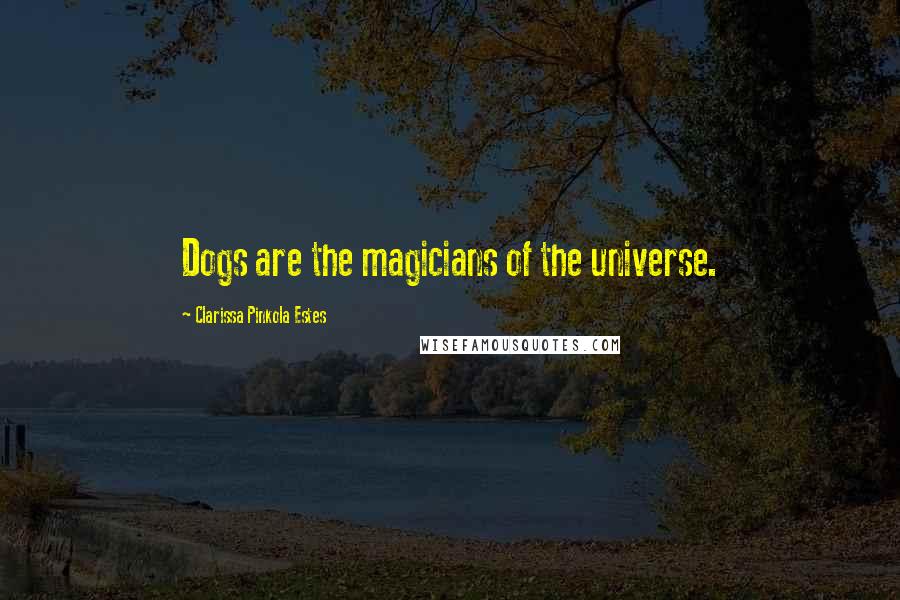 Clarissa Pinkola Estes Quotes: Dogs are the magicians of the universe.