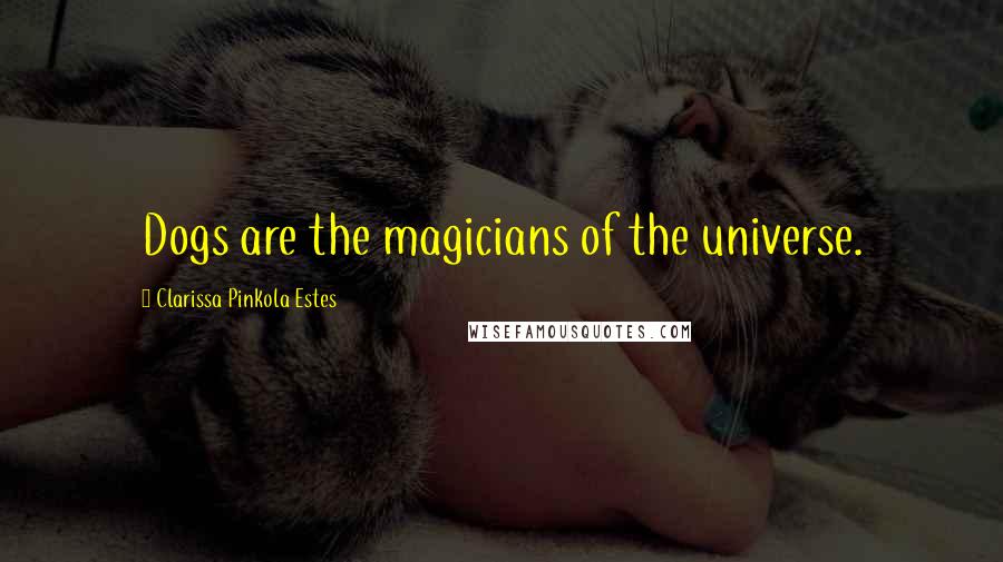 Clarissa Pinkola Estes Quotes: Dogs are the magicians of the universe.