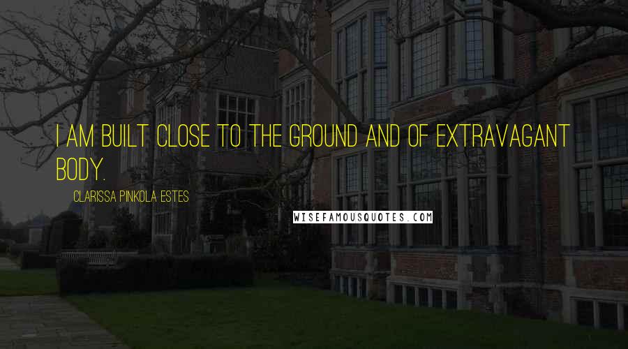 Clarissa Pinkola Estes Quotes: I am built close to the ground and of extravagant body.