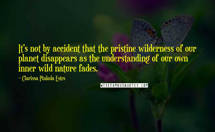 Clarissa Pinkola Estes Quotes: It's not by accident that the pristine wilderness of our planet disappears as the understanding of our own inner wild nature fades.