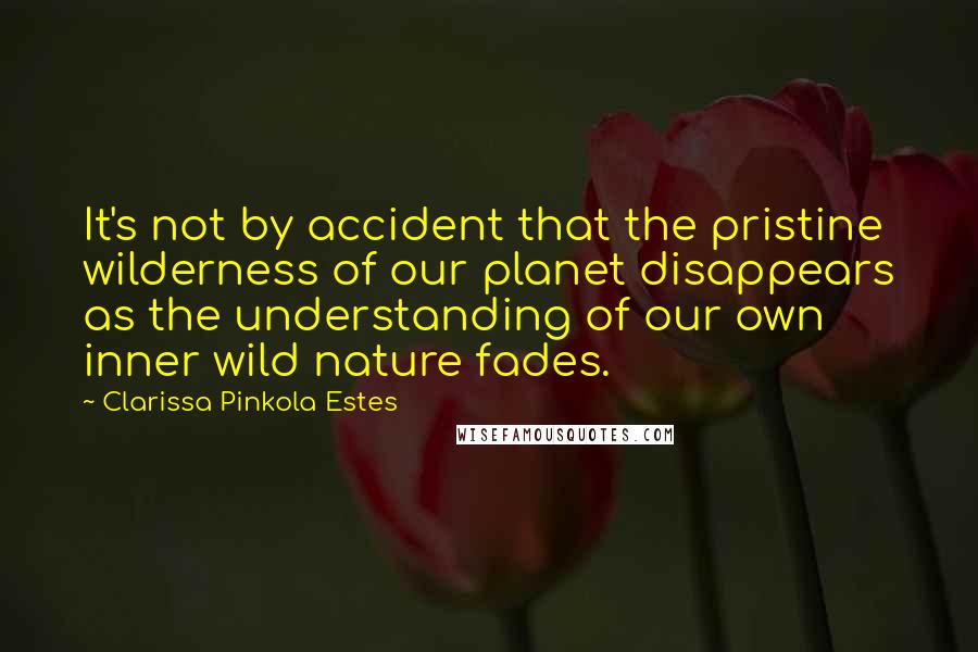 Clarissa Pinkola Estes Quotes: It's not by accident that the pristine wilderness of our planet disappears as the understanding of our own inner wild nature fades.