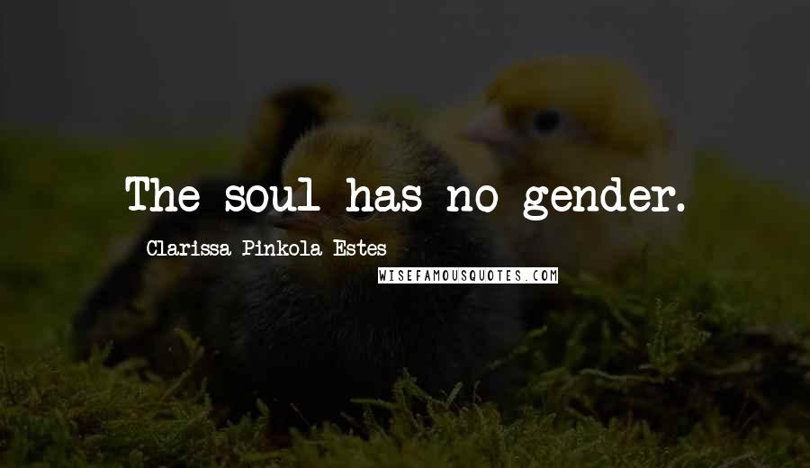 Clarissa Pinkola Estes Quotes: The soul has no gender.