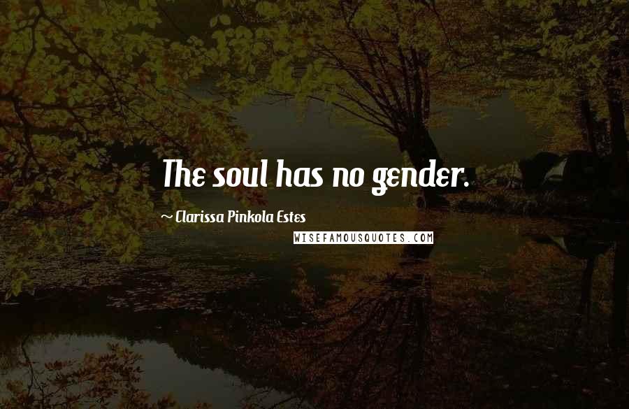 Clarissa Pinkola Estes Quotes: The soul has no gender.