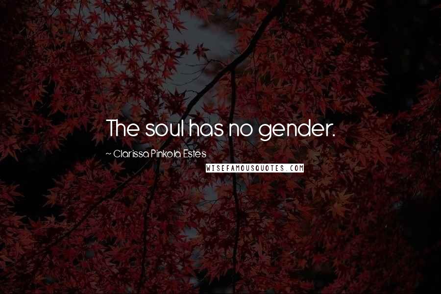 Clarissa Pinkola Estes Quotes: The soul has no gender.