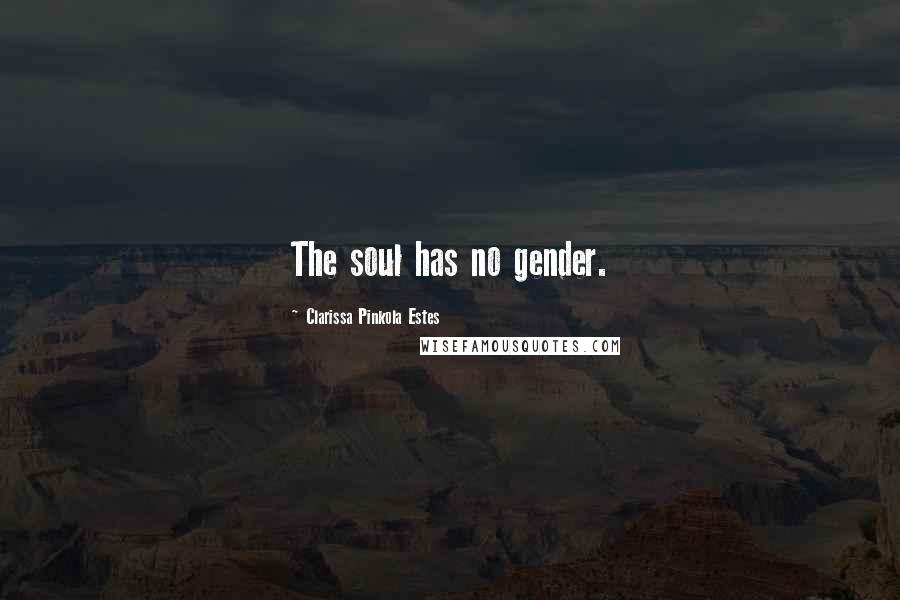 Clarissa Pinkola Estes Quotes: The soul has no gender.