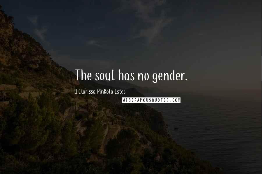 Clarissa Pinkola Estes Quotes: The soul has no gender.