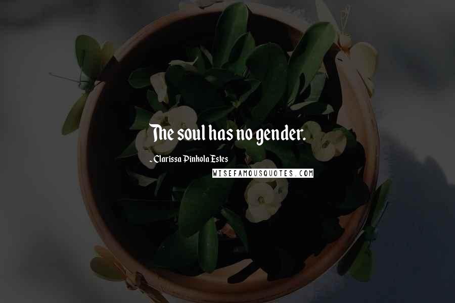 Clarissa Pinkola Estes Quotes: The soul has no gender.