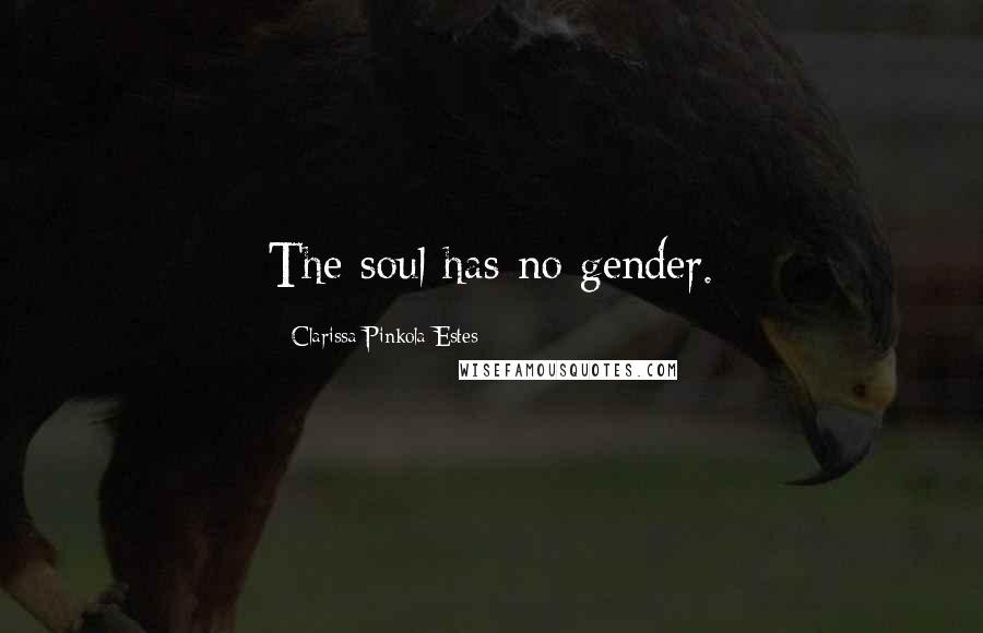 Clarissa Pinkola Estes Quotes: The soul has no gender.