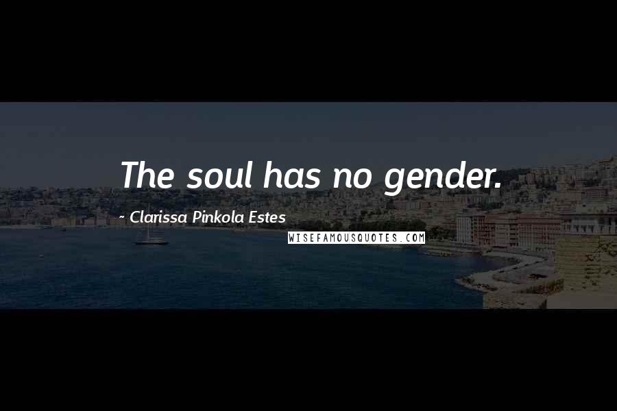 Clarissa Pinkola Estes Quotes: The soul has no gender.