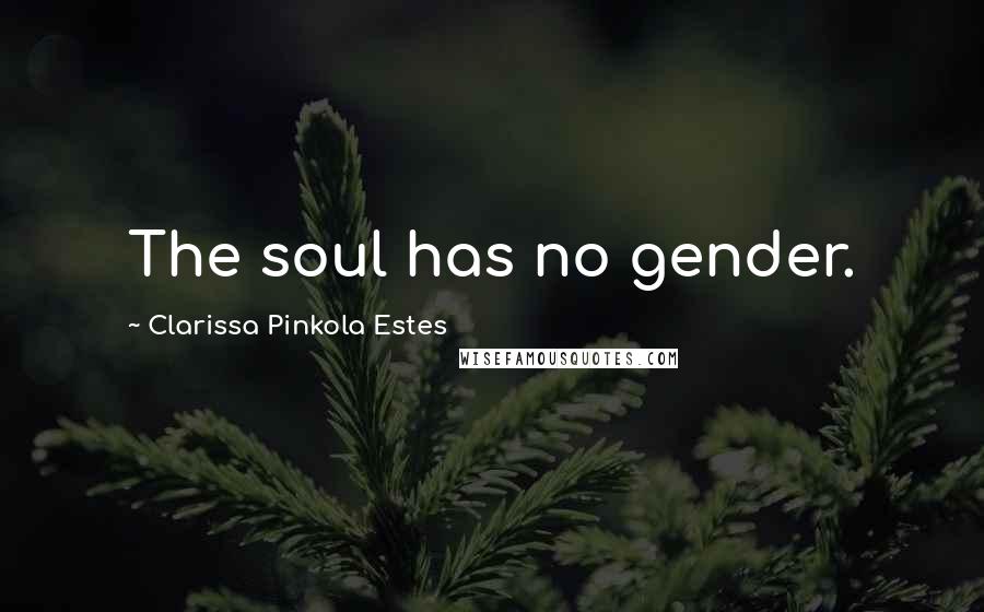 Clarissa Pinkola Estes Quotes: The soul has no gender.