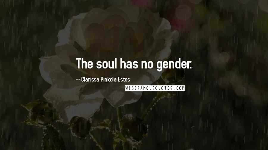 Clarissa Pinkola Estes Quotes: The soul has no gender.