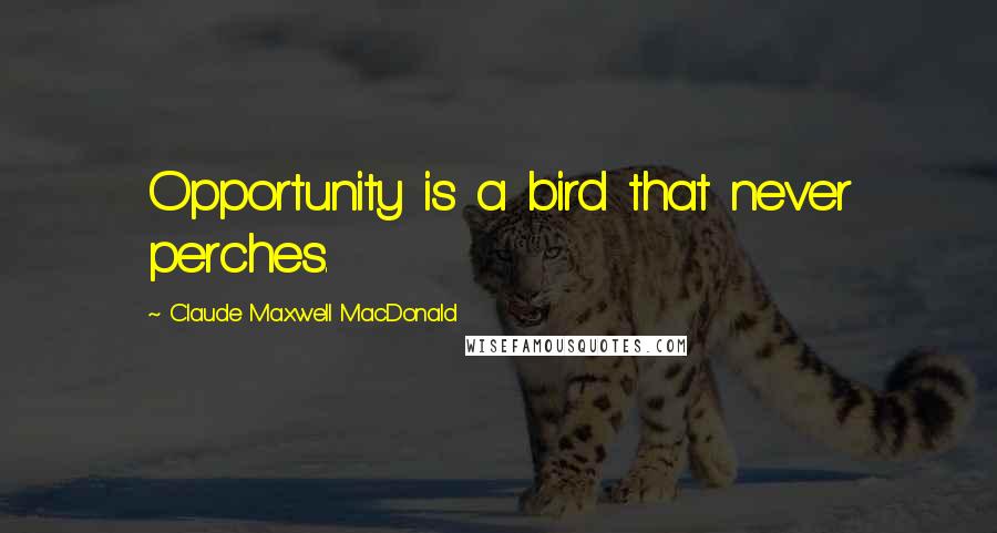 Claude Maxwell MacDonald Quotes: Opportunity is a bird that never perches.