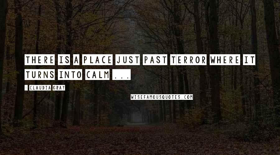 Claudia Gray Quotes: There is a place just past terror where it turns into calm ...