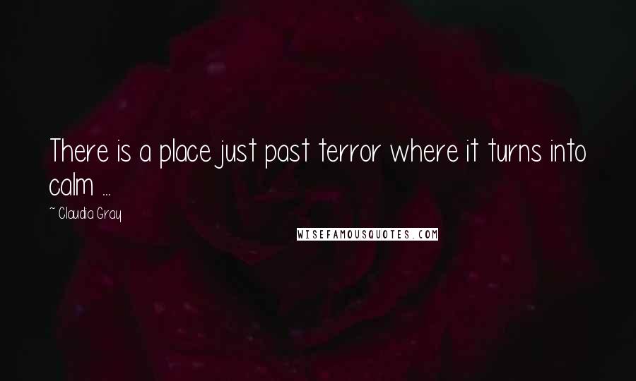 Claudia Gray Quotes: There is a place just past terror where it turns into calm ...