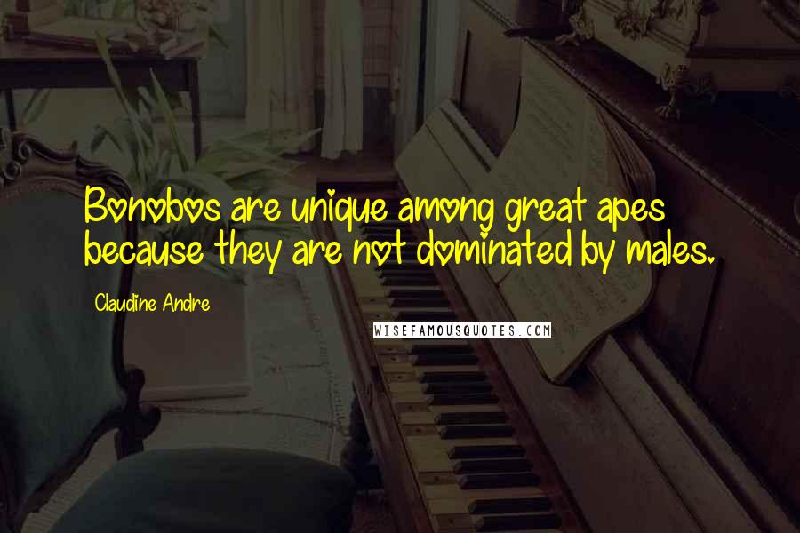 Claudine Andre Quotes: Bonobos are unique among great apes because they are not dominated by males.