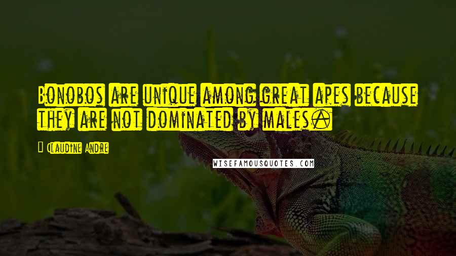 Claudine Andre Quotes: Bonobos are unique among great apes because they are not dominated by males.