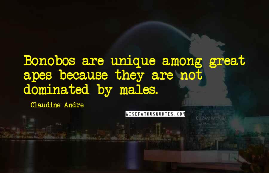 Claudine Andre Quotes: Bonobos are unique among great apes because they are not dominated by males.