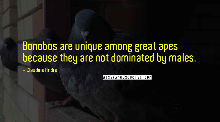 Claudine Andre Quotes: Bonobos are unique among great apes because they are not dominated by males.