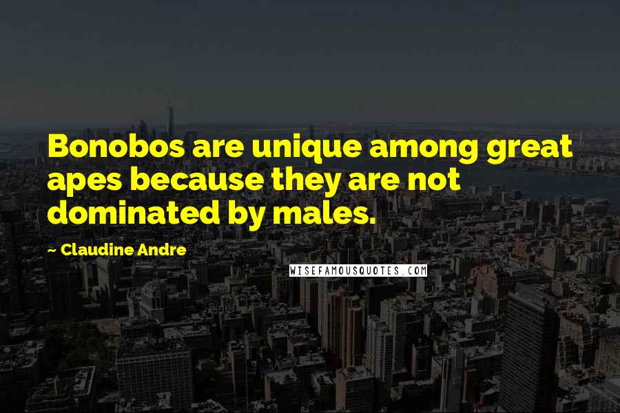 Claudine Andre Quotes: Bonobos are unique among great apes because they are not dominated by males.