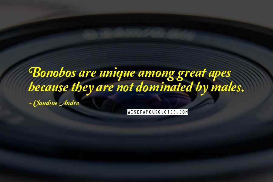 Claudine Andre Quotes: Bonobos are unique among great apes because they are not dominated by males.