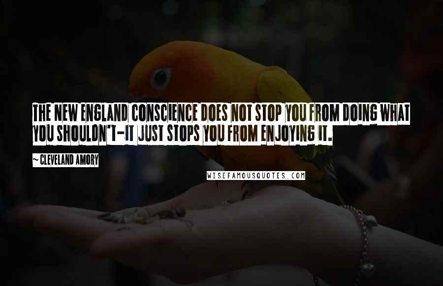 Cleveland Amory Quotes: The New England conscience does not stop you from doing what you shouldn't-it just stops you from enjoying it.