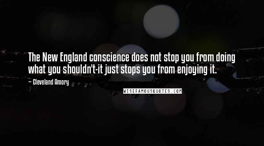 Cleveland Amory Quotes: The New England conscience does not stop you from doing what you shouldn't-it just stops you from enjoying it.