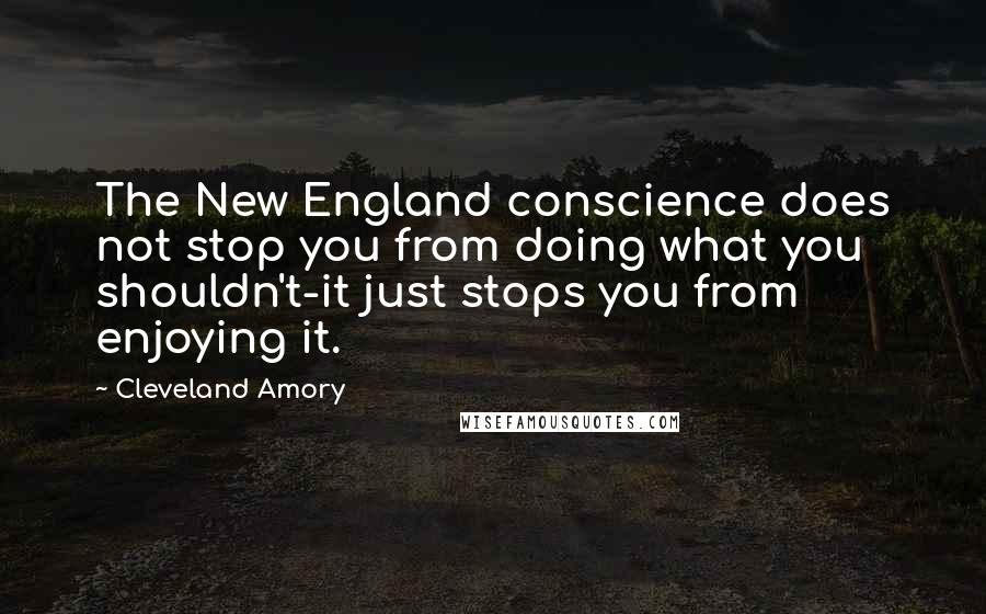 Cleveland Amory Quotes: The New England conscience does not stop you from doing what you shouldn't-it just stops you from enjoying it.