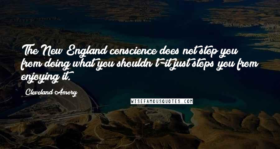 Cleveland Amory Quotes: The New England conscience does not stop you from doing what you shouldn't-it just stops you from enjoying it.