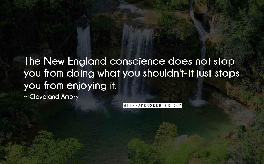 Cleveland Amory Quotes: The New England conscience does not stop you from doing what you shouldn't-it just stops you from enjoying it.