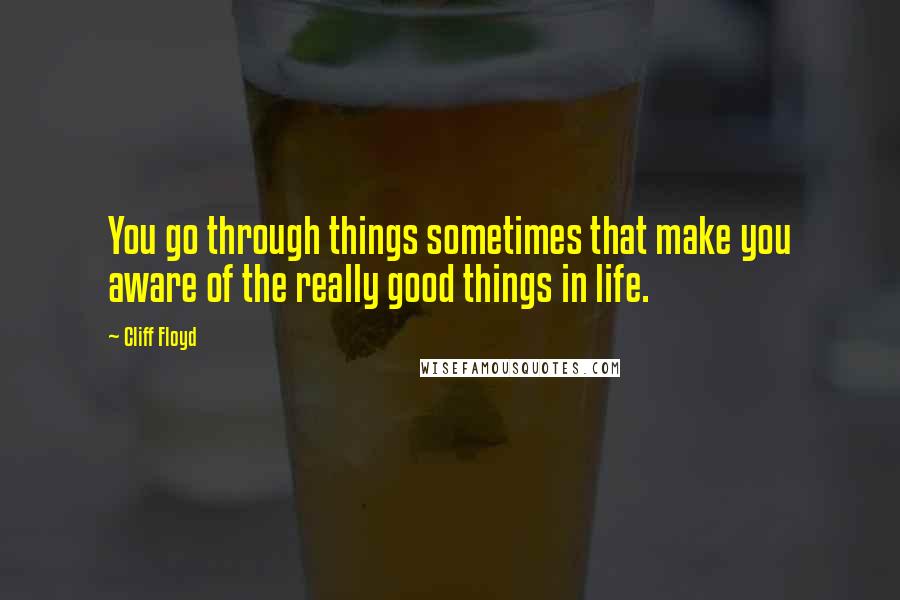 Cliff Floyd Quotes: You go through things sometimes that make you aware of the really good things in life.