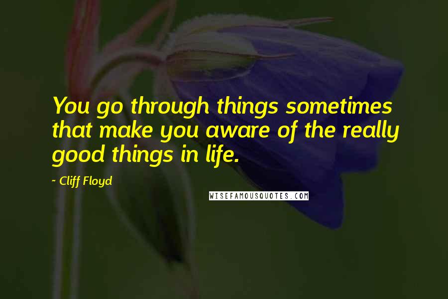 Cliff Floyd Quotes: You go through things sometimes that make you aware of the really good things in life.